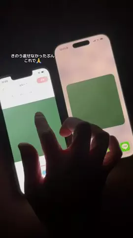 ぽん太のTikTok投稿