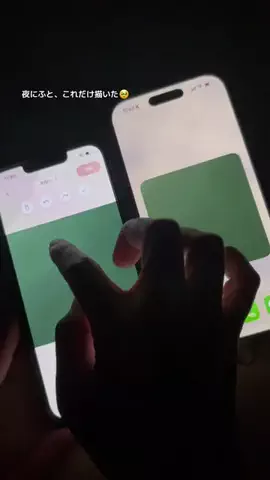 ぽん太のTikTok投稿