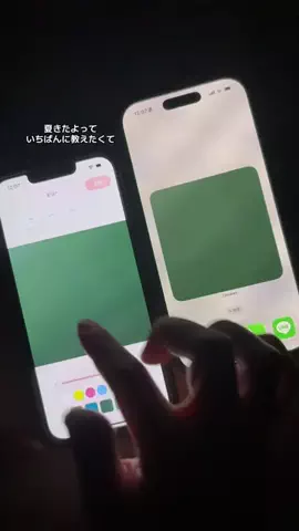 ぽん太のTikTok投稿