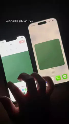 ぽん太のTikTok投稿