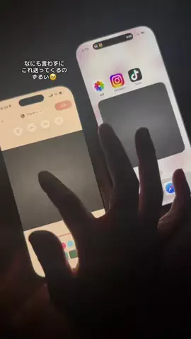 ぽん太のTikTok投稿