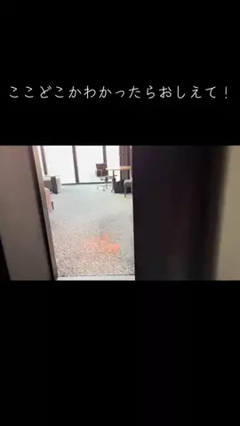 👑✨姫✨💋関コレ歩いた人のTikTok投稿