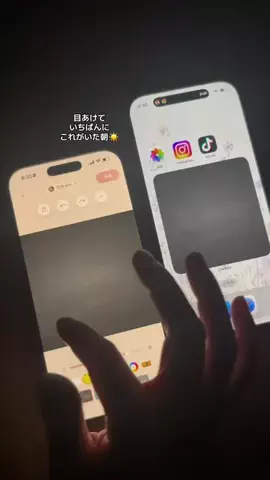 ぽん太のTikTok投稿