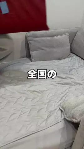いいもの図鑑のTikTok投稿