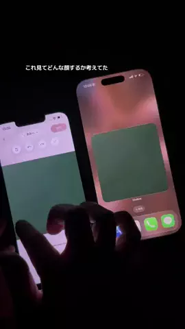 ぽん太のTikTok投稿