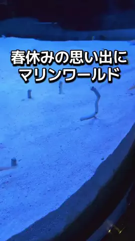 ダイエットティーチャーやのへいのTikTok投稿