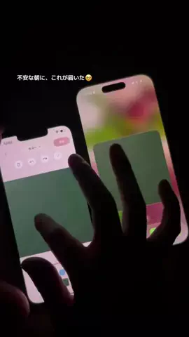 ぽん太のTikTok投稿