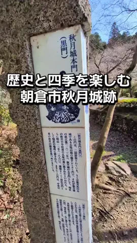 ダイエットティーチャーやのへいのTikTok投稿