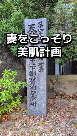 ダイエットティーチャーやのへいのTikTok投稿