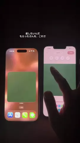 ぽん太のTikTok投稿