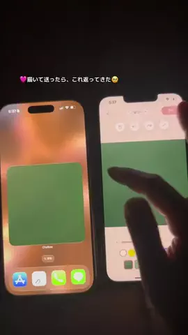 ぽん太のTikTok投稿