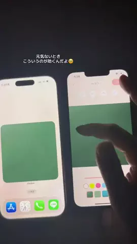 ぽん太のTikTok投稿