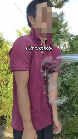 まこと║プチストレス解消ハックのTikTok投稿