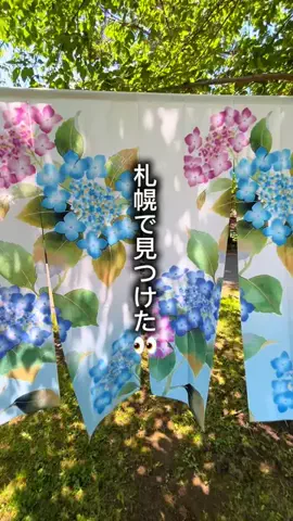まるぐるめ【北海道グルメ・観光】のTikTok投稿