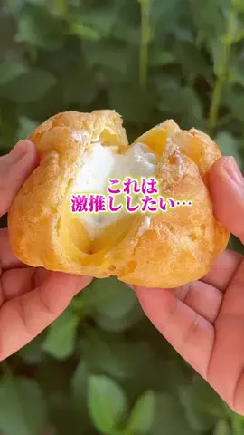 まんぷく金沢 ぷくこ★金沢グルメのTikTok投稿