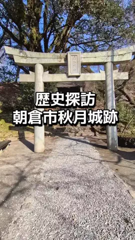 ダイエットティーチャーやのへいのTikTok投稿