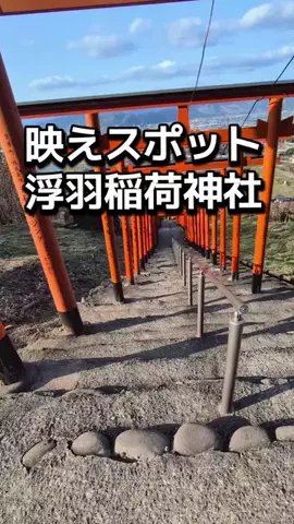 ダイエットティーチャーやのへいのTikTok投稿