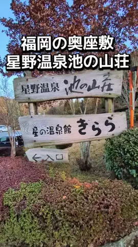 ダイエットティーチャーやのへいのTikTok投稿