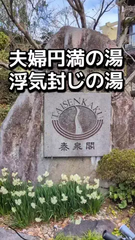 ダイエットティーチャーやのへいのTikTok投稿