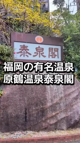 ダイエットティーチャーやのへいのTikTok投稿