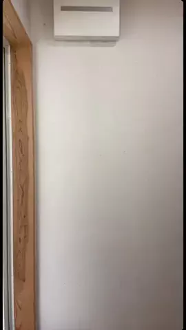ぺちたん校長🦭𓂃🫧のTikTok投稿