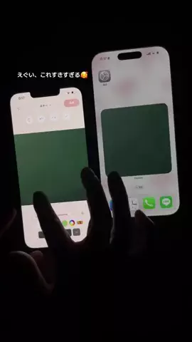 ぽん太のTikTok投稿
