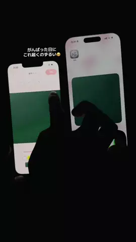 ぽん太のTikTok投稿