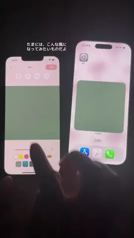 ぽん太のTikTok投稿