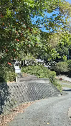 香川グルメ／KAGAWA SELECTのTikTok投稿