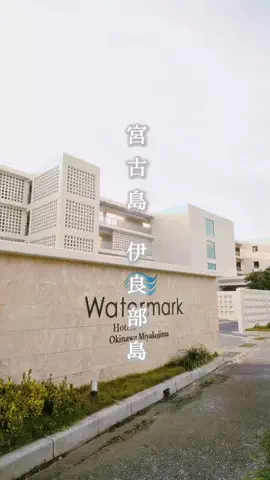 ぺちたん校長🦭𓂃🫧のTikTok投稿