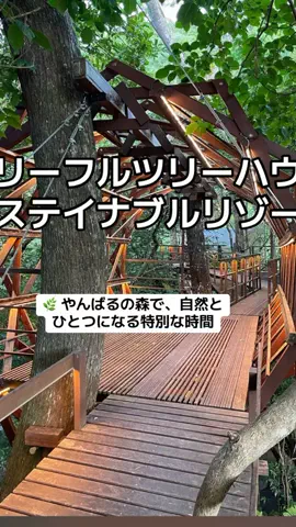 ぷりんのTikTok投稿