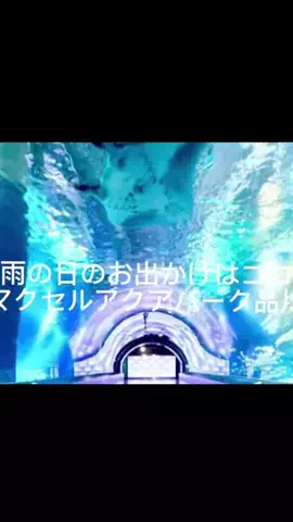 夜によりそう心のTikTok投稿
