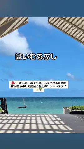 ぷりんのTikTok投稿