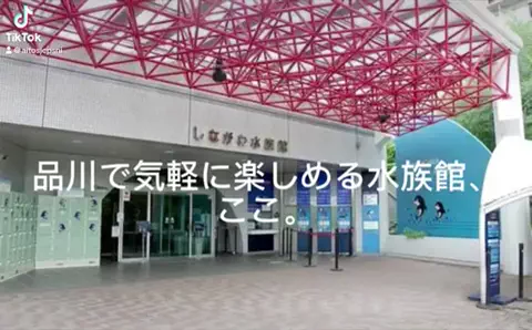 夜によりそう心のTikTok投稿