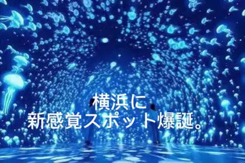 夜によりそう心のTikTok投稿