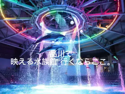 夜によりそう心のTikTok投稿