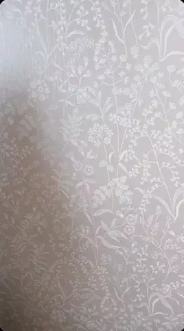 ぺちたん校長🦭𓂃🫧のTikTok投稿