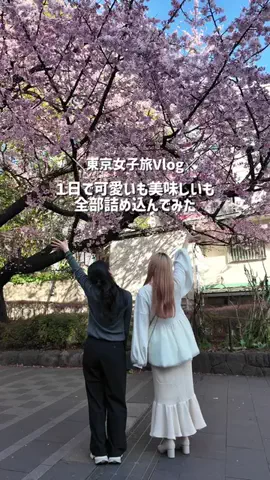 YOU旅行｜世界一周する家族✈️のTikTok投稿