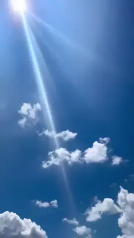 ぺちたん校長🦭𓂃🫧のTikTok投稿