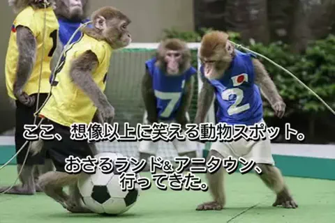 夜によりそう心のTikTok投稿