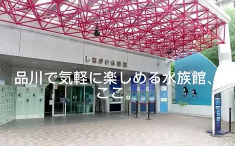 夜によりそう心のTikTok投稿