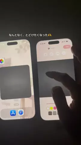 ぽん太のTikTok投稿
