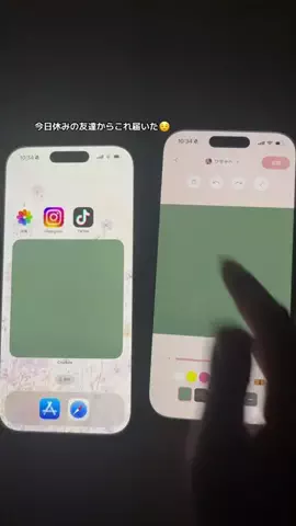 ぽん太のTikTok投稿