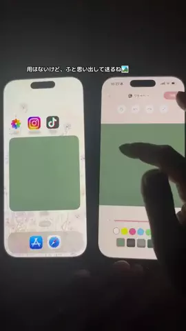 ぽん太のTikTok投稿