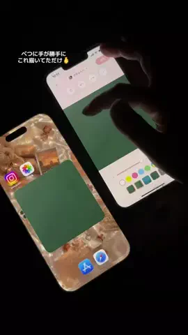 ぽん太のTikTok投稿