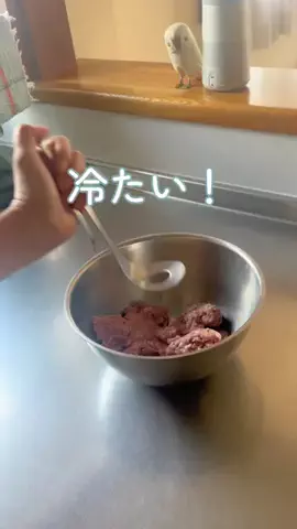 はやまりのTikTok投稿