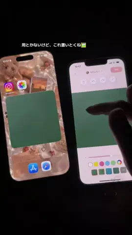 ぽん太のTikTok投稿