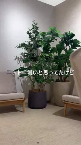 akariのTikTok投稿