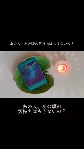 スピリットハーモニーのTikTok投稿