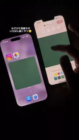 ぽん太のTikTok投稿